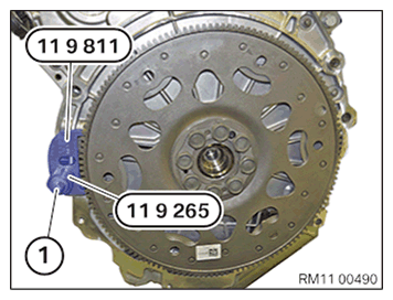 G11645002