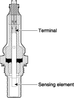 G11675692
