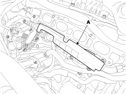 G11675702