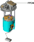 G11675782