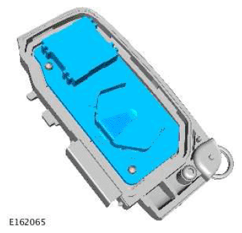 G11676351