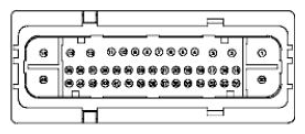 G11680212