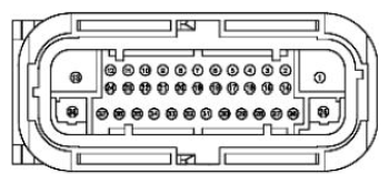 G11680243