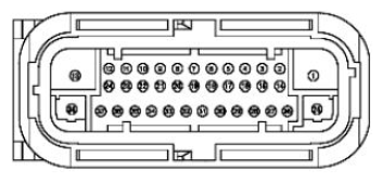 G11680266
