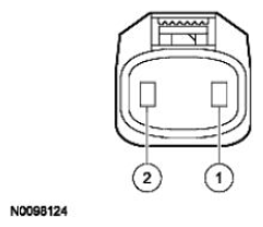 G11681475