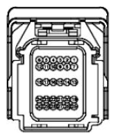 G11681622