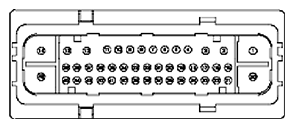 G11681632