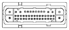 G11681641