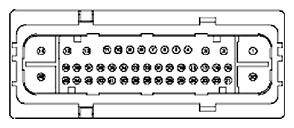G11681844