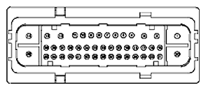 G11681874
