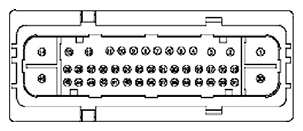 G11681967