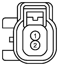 G11682040
