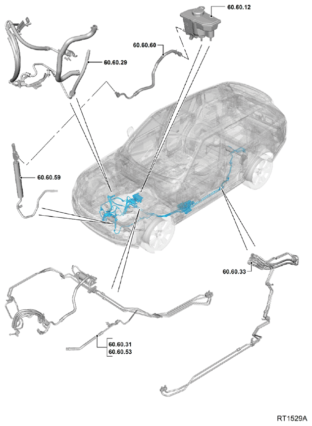 G11693035