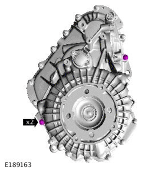 G11707561