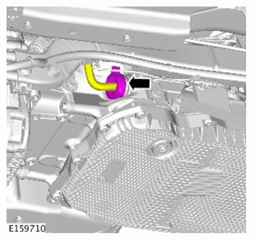 G11768062