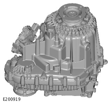 G11768657
