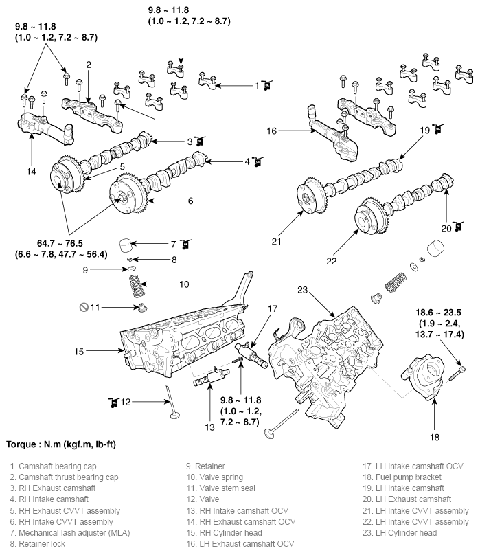G11783566