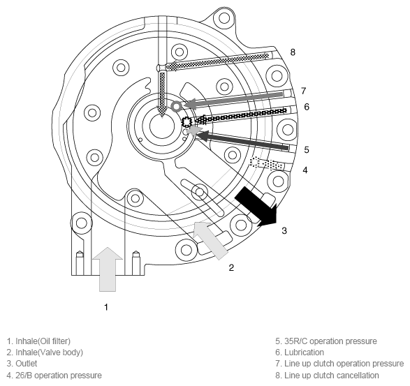 G11784248