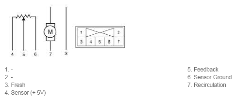 G11793065