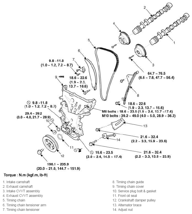 G11793113