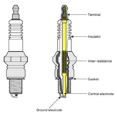 G11793419