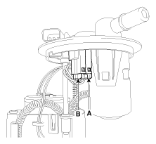 G11797036