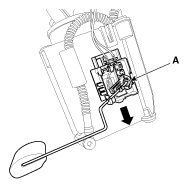 G11797039