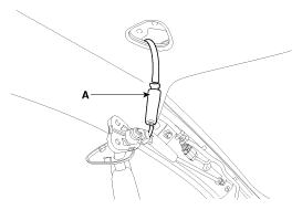 G11801324