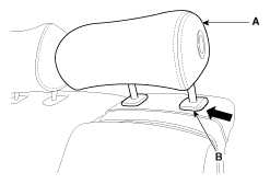 G11801392