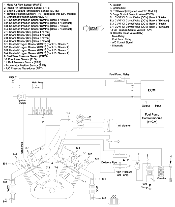 G11802786