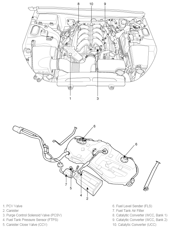 G11802787