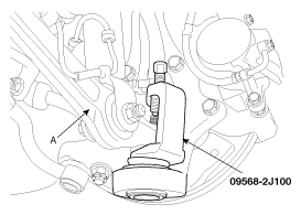 G11803705