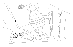 G11803716