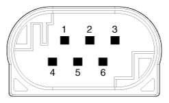 G11812829