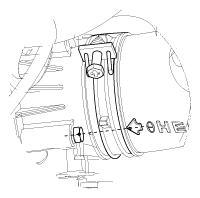 G11815986