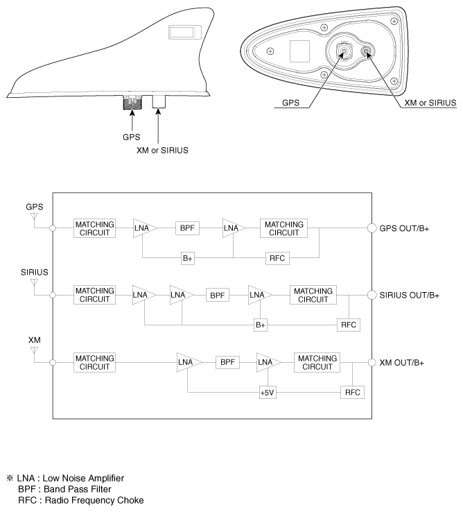 G11817764