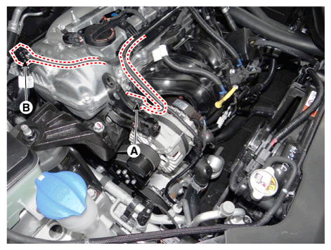 G11823457