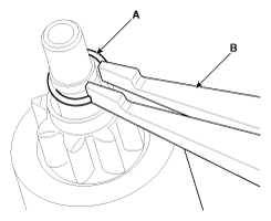 G11844987