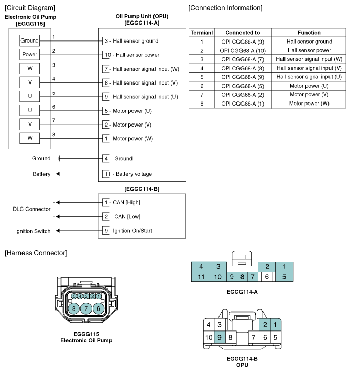G11845291