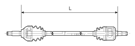 G11845629