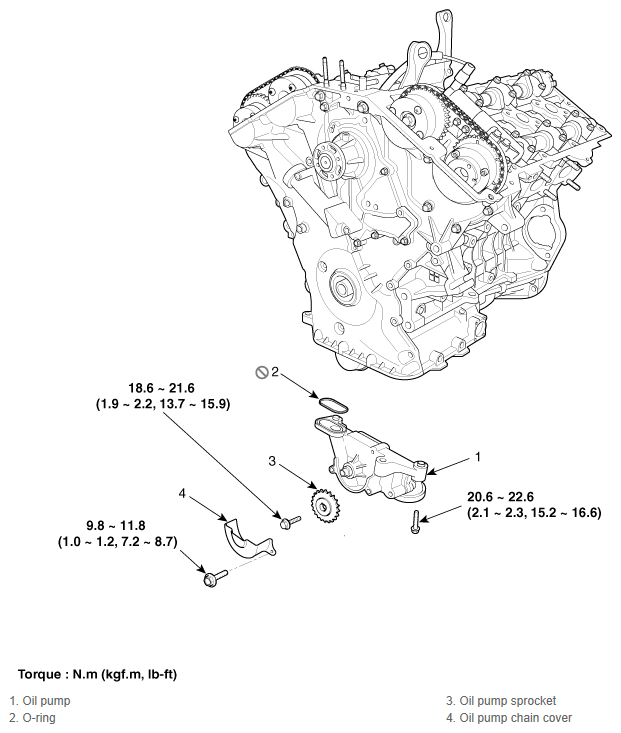 G11856306