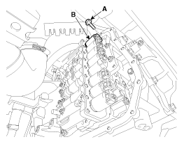 G11856844