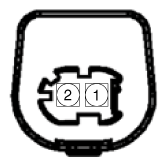 G11862248