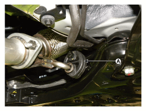 G11863808