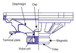 G11867686