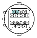 G11872353