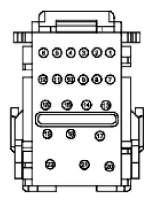 G11915863