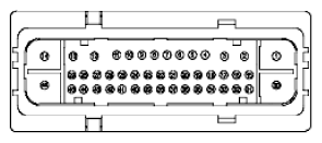 G11916154