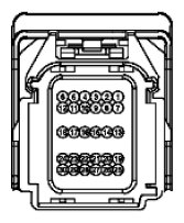 G11916156