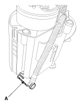 G11955675